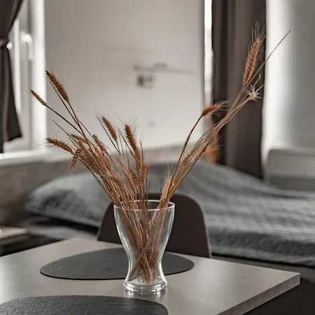 July's Affittacamere Primorsko